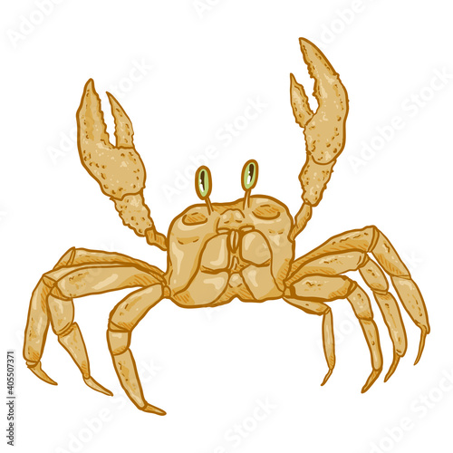 Crab Vector Cartoon Illustration
