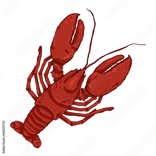Omar Vector Cartoon Illustration