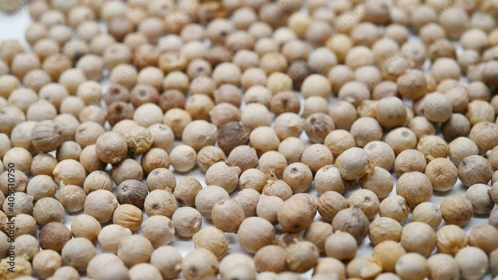 side view HuJiao or Piperis Fructus or Black Pepper Fruit rotating side view HuJiao or Piperis Fructus or Black Pepper Fruit rotating