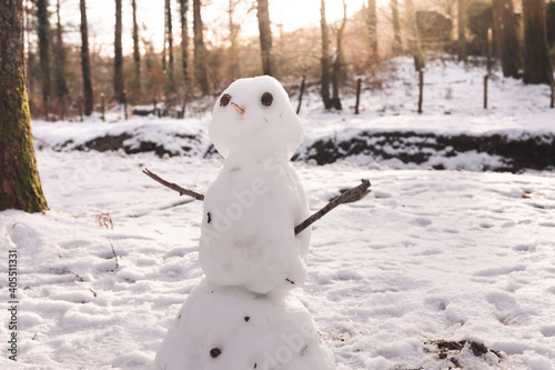 Cute snowman on a snowy forest © Jorge Argazkiak
