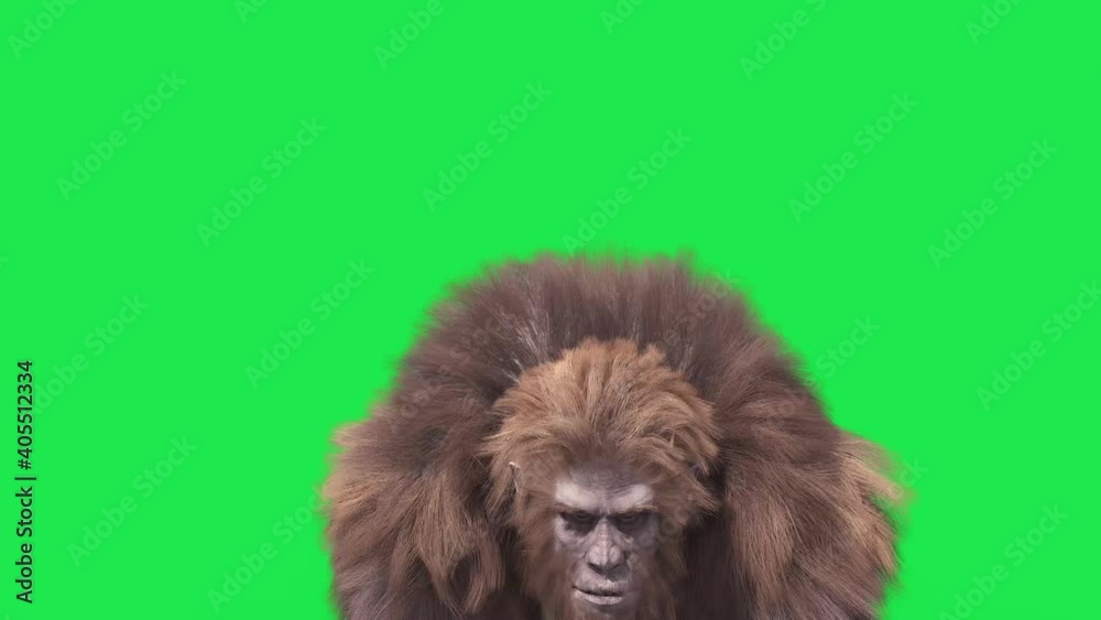 Green Screen Bigfoot Yeti Attack Front Real Fur 3D Rendering Animation 4K