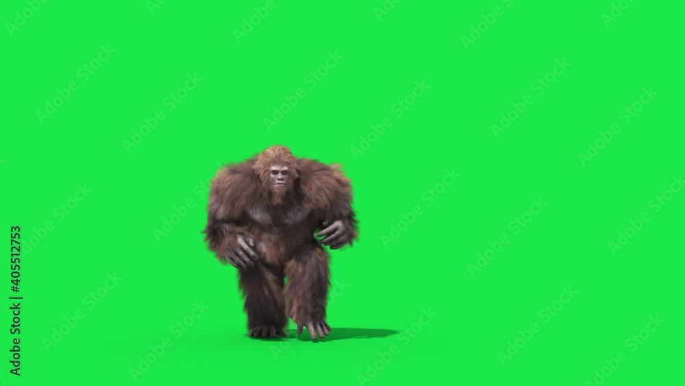 Green Screen Bigfoot Yeti Run Front Real Fur 3D Rendering Animation 4K