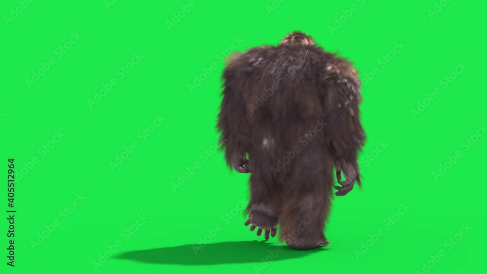 Green Screen Bigfoot Yeti Walk Back Real Fur 3D Rendering Animation 4K
