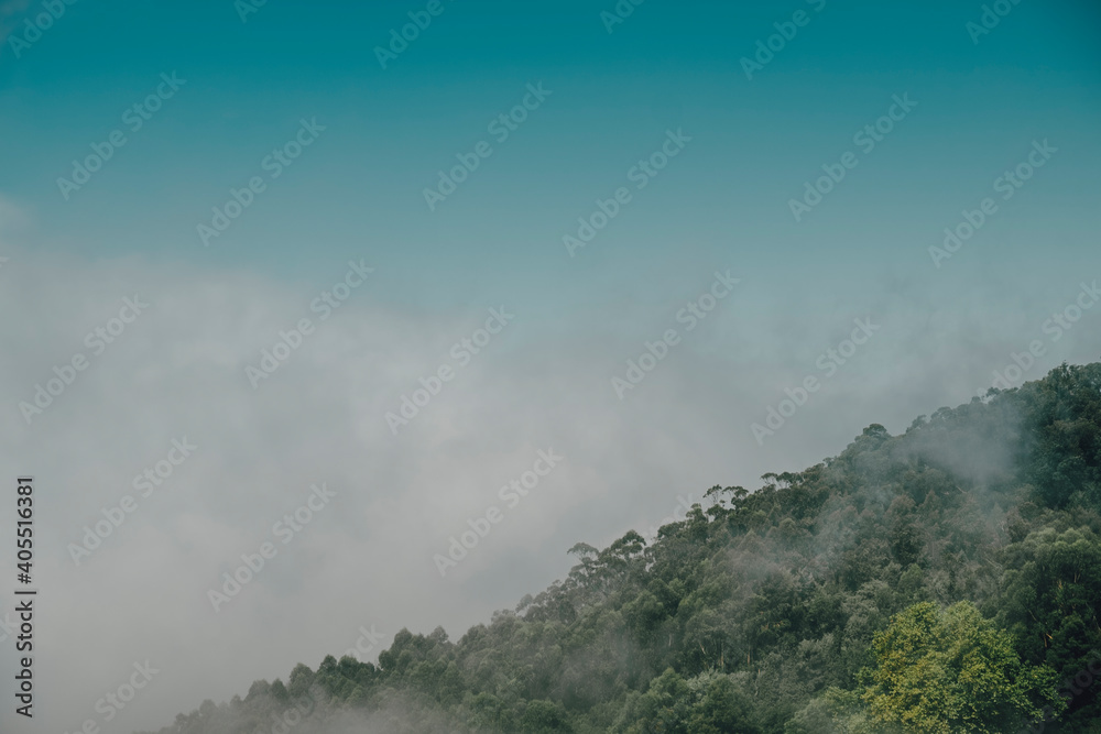 Mountain hill trees with clouds and mist on a sunny day Mountain hill trees with clouds and mist on a sunny day