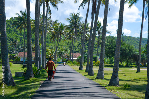 Beautiful scenery, coconut trees on the beach of Srau, Pacitan Indonesia photo