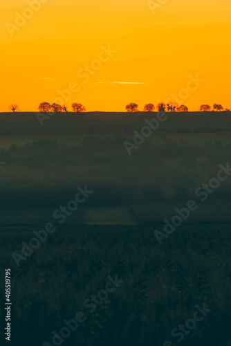 Beautiful morning landscape before sunrise in rural space. © Vulp
