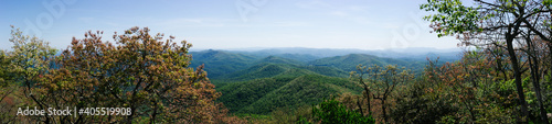 Fototapeta Naklejka Na Ścianę i Meble -  Sky and trees in the Appalachian trail