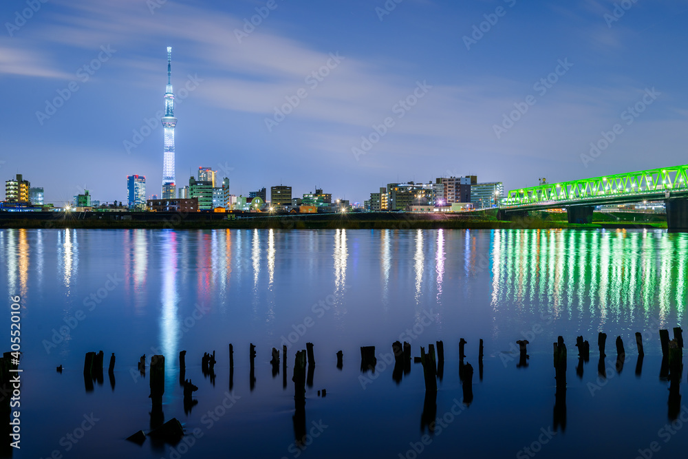 Tokyo, Japan Skyline on the River