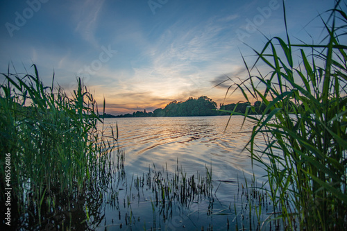 grass waving in the wind with beautiful werdersee  a river in bremen  in the background at sunset