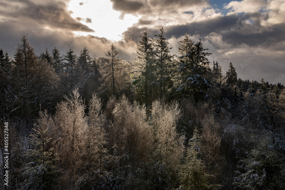 winterliche Waldstimmung, die Sonne ist durch die Wolken gebrochen und läßt Eiskristalle auf den Bäumen glitzern.