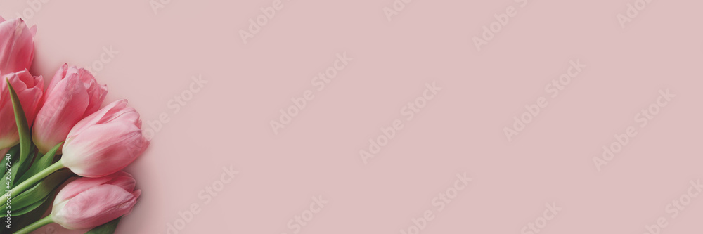 Header with bouquet of tulip flowers on a pink background. Gift for Mothers Day. Romantic concept with place for text.