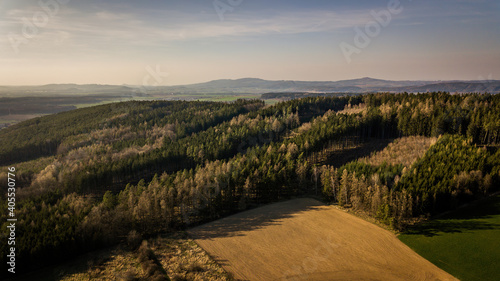 landscape of region with forest and mountains