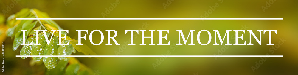 Inspirational motivational quote Live for the moment, on green background. Inspirational motivational quote Live for the moment, on green background.