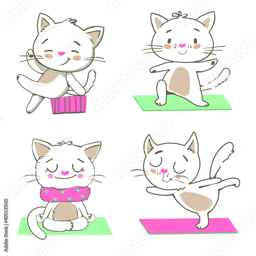 cute kitten doing exercises