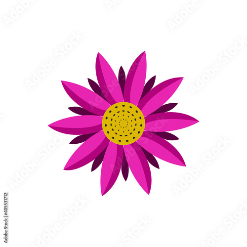 professional pink daisy isolated on white