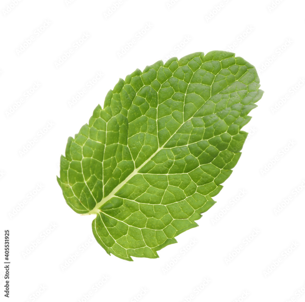 Obraz premium Fresh green mint leaf isolated on white