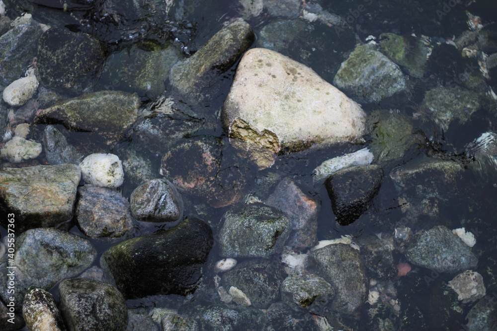 winter seashore winter seashore