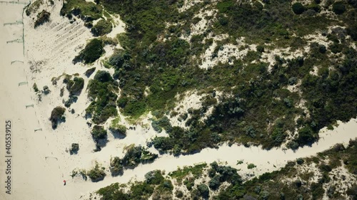 Wallpaper Mural Drone aerial bird's eye view of grassy sand dunes on beach landscape Torontodigital.ca