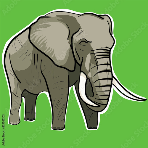 elefante