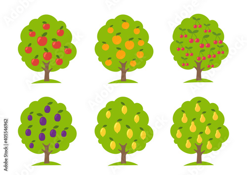 Set of different fruit trees. Lemon and orange apple cherry pear plum. Orchard garden harvest. Vector Illustration.