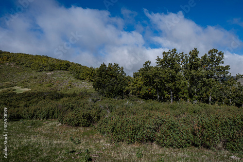 Sierra Norte de Guadalajara Natural Park, Cantalojas, Guadalajara, Spain