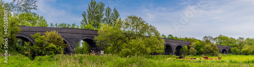 A panorama view of cows grazing on the banks of the River Nene in front of the old railway viaduct at Thrapston, UK in springtime photo