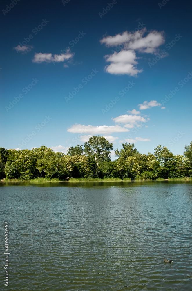 Blue sky, green trees and reflections in water. Lake in Pruszkow