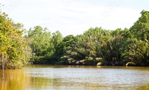 Along the River Nilwala near Matara, southern Sri Lanka. photo