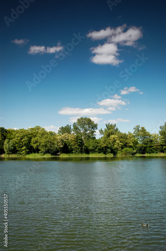 Blue sky  green trees and reflections in water. Lake in Pruszkow