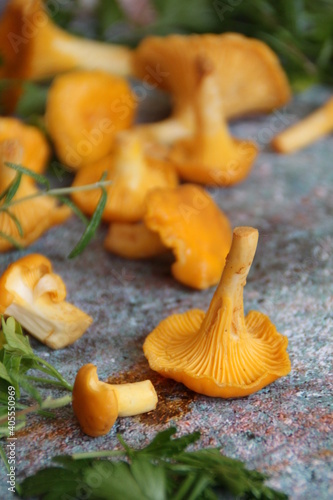 small mushrooms chanterelles, fresh chanterelles, yellow mushrooms