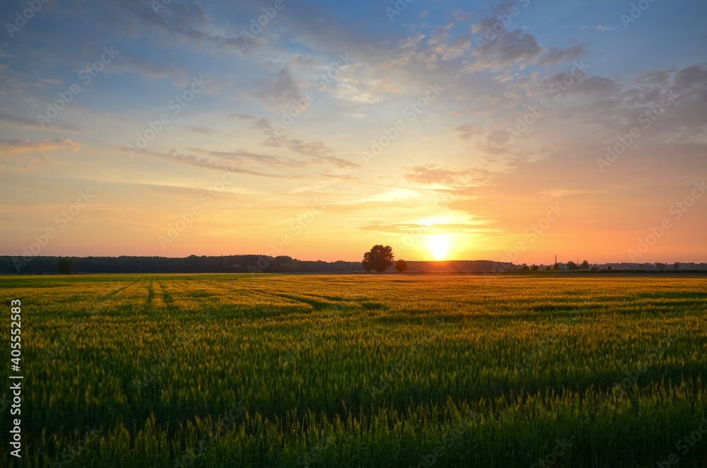Sunset over the field in Gassy, Poland