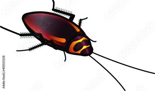 A cockroach.