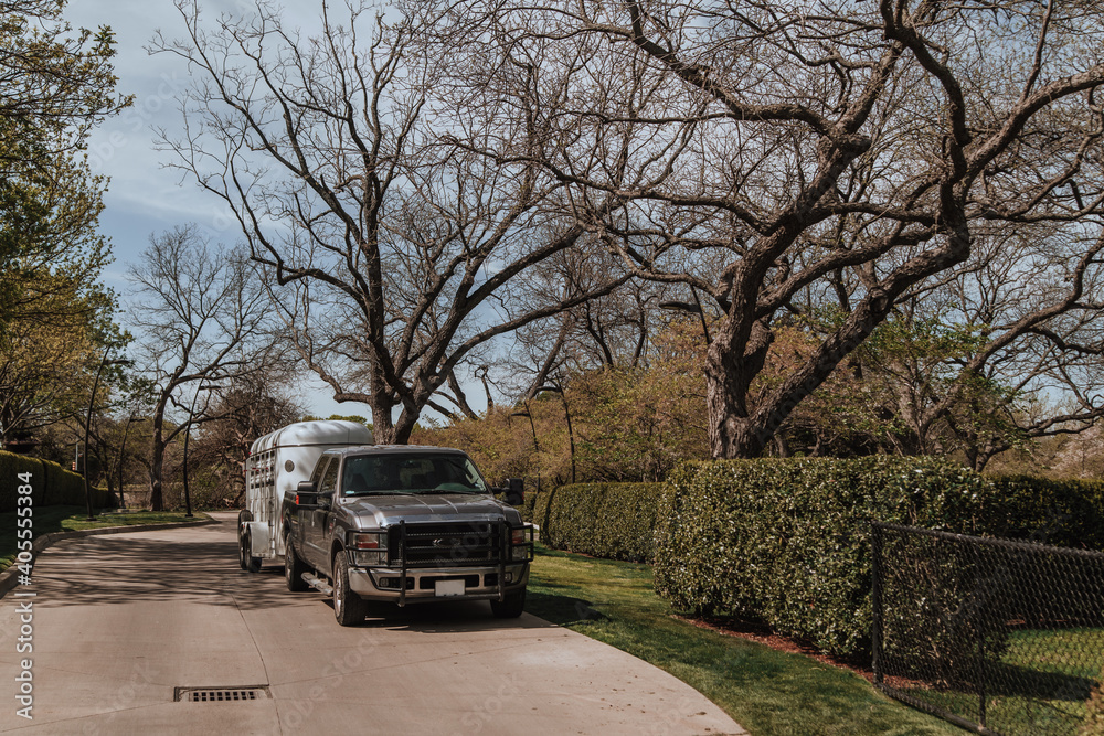 Pickup truck with horse carriage in the park. Pickup truck with horse carriage in the park.