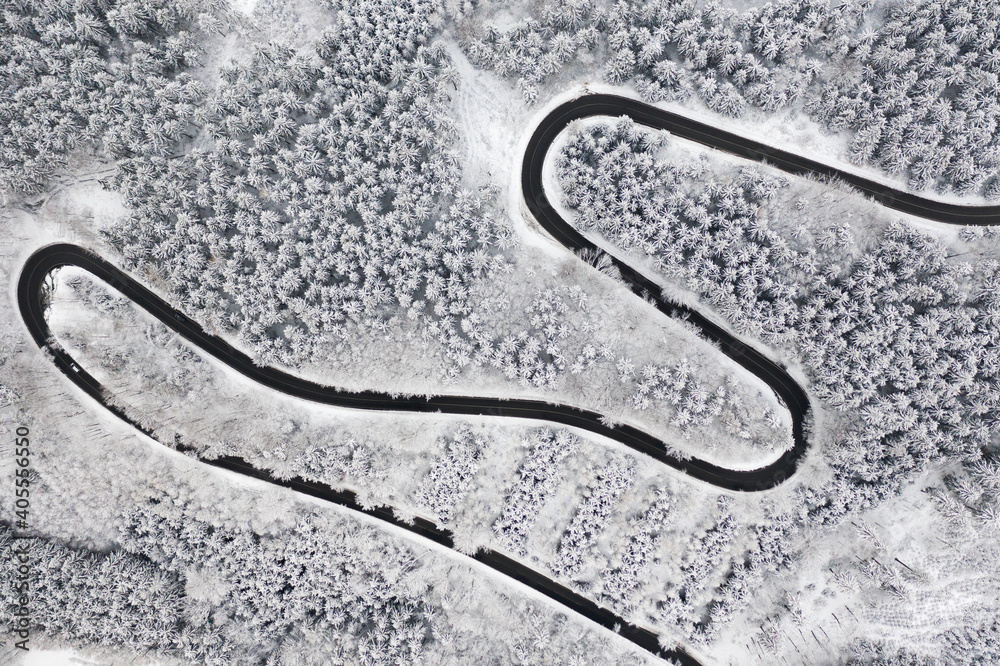 Curved S-shaped road in the winter forest aerial view. Empty winding road surrounded by high pine trees. 