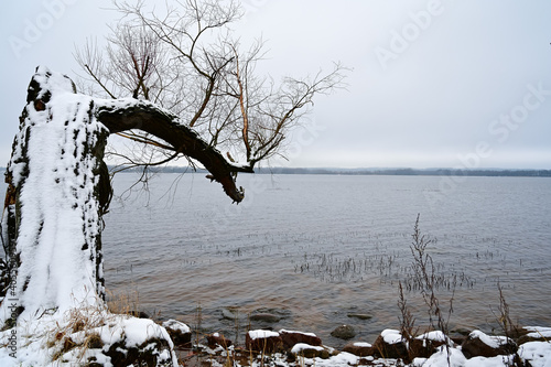 Landscape with winter lake and trees