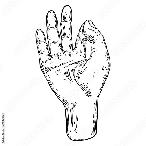Buddha Gyan-mudra gesture hands. Yoga mudra while meditating. Mudra jnana of knowledge, Buddhism or Hinduism drawing element vector.