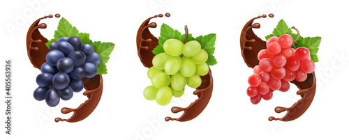 Red black and white table grapes, wine grapes in chocolate. Dessert fruits vector icon set.