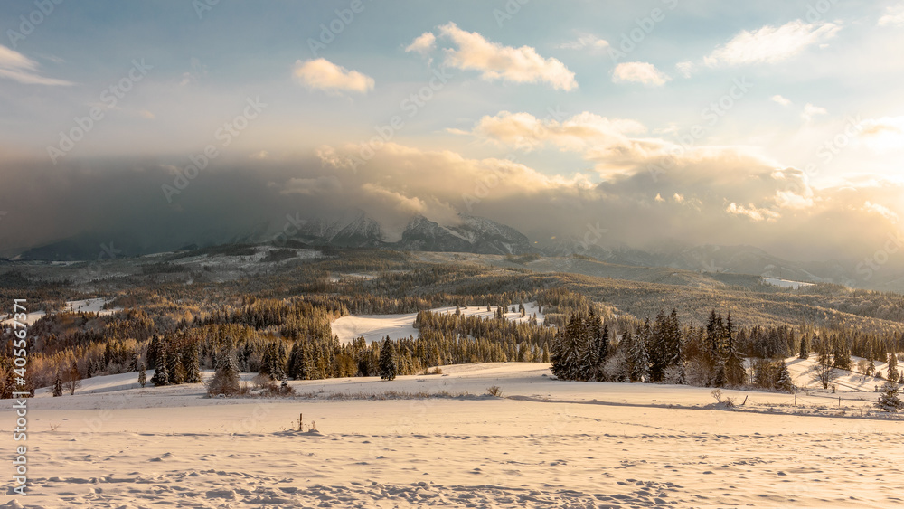 winter landscape in the mountains