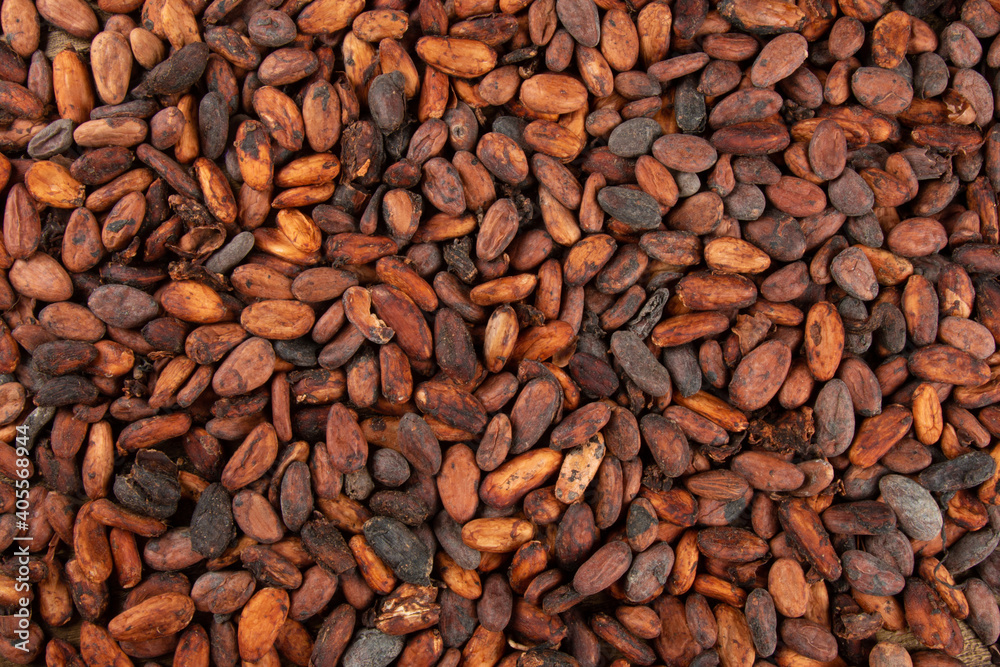 Texture of aromatic raw cocoa beans stacked top view Texture of aromatic raw cocoa beans stacked top view