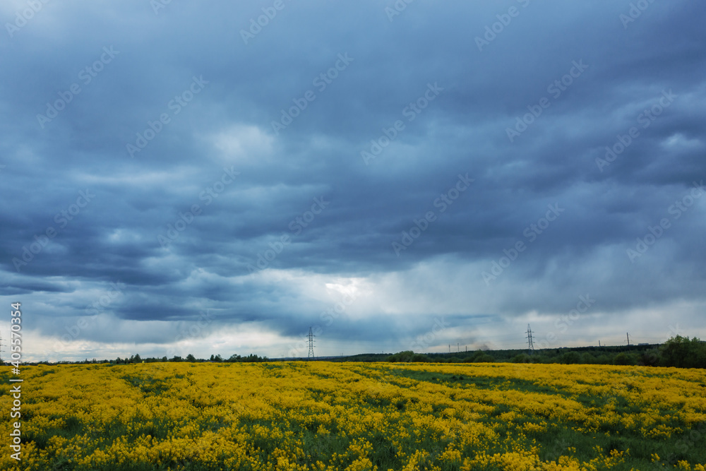 Yellow flower field with thunderclouds.