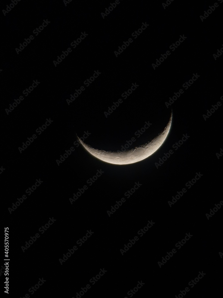 moon in the night moon in the night