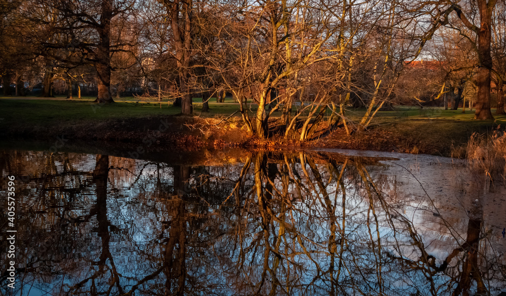 Obraz premium Winter, bare trees make reflection on quiet river