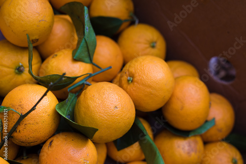 Fresh mandarin oranges fruit or tangerines with leaves close up