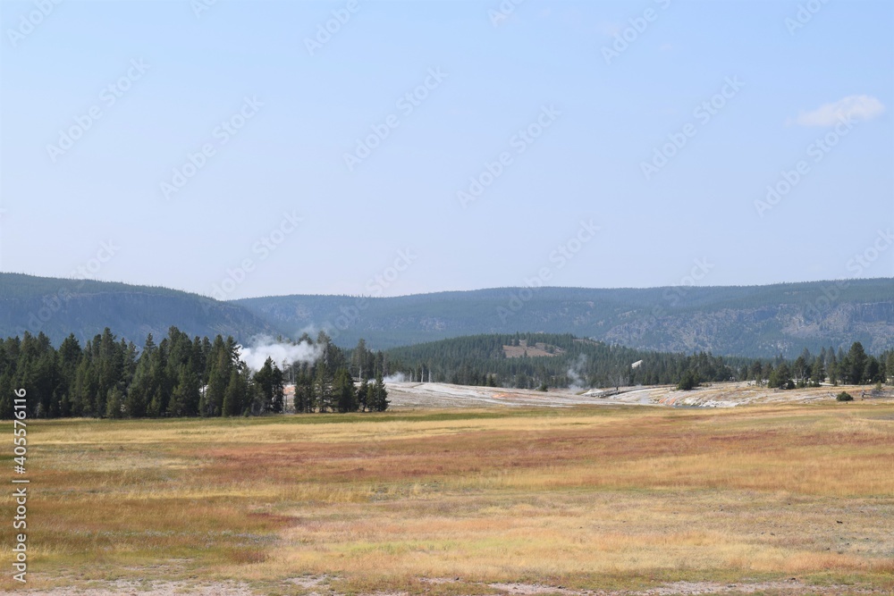 Yellowstone National Park Scene View