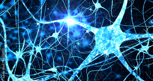 Neurons in the head - flight, neuroactivity, synapses, Neurotransmitters, brain, axons