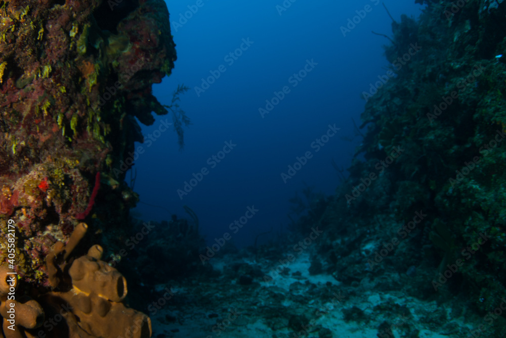 Ocean framed by a corridor of reef on the underwater wall in Grand Cayman