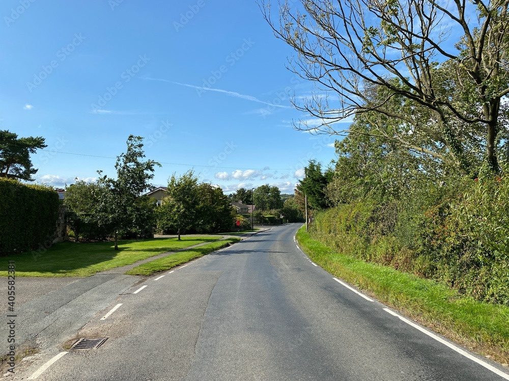 Fototapeta premium Looking up, Drury Lane, on a hot summers day in, Harrogate, Yorkshire, UK