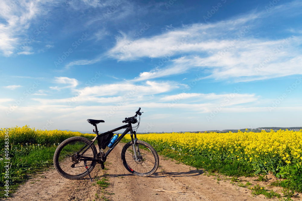 Black male bike on blooming yellow rapeseed field. Breathable landscape with blue cloudy sky at rural contrside Black male bike on blooming yellow rapeseed field. Breathable landscape with blue cloudy sky at rural contrside
