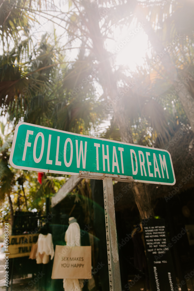 Fototapeta premium Follow That Dream Sign
