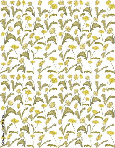 Watercolor pattern with dandelions perfect for textile fabrics.